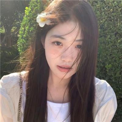 笨金鱼